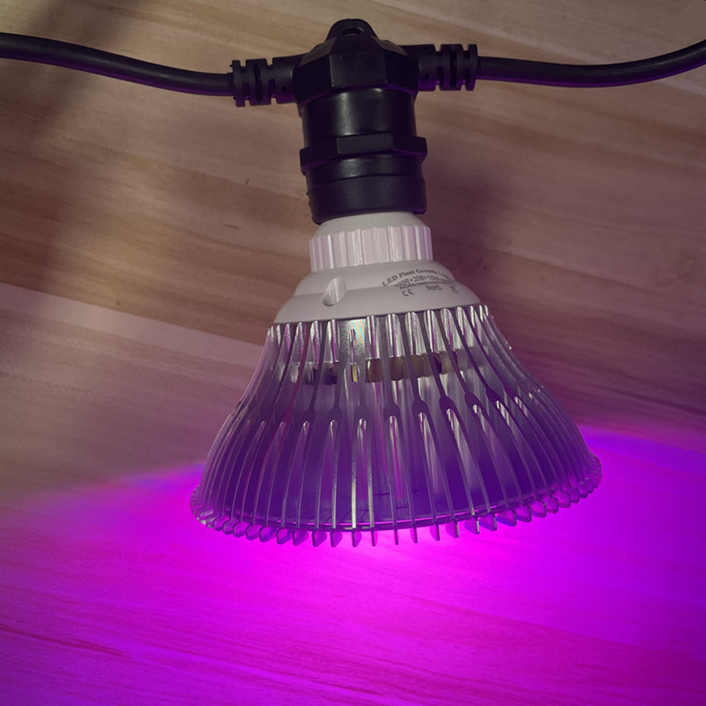 10M Cable LED String Commercia - đánh giá và giá Bollard Light Garden